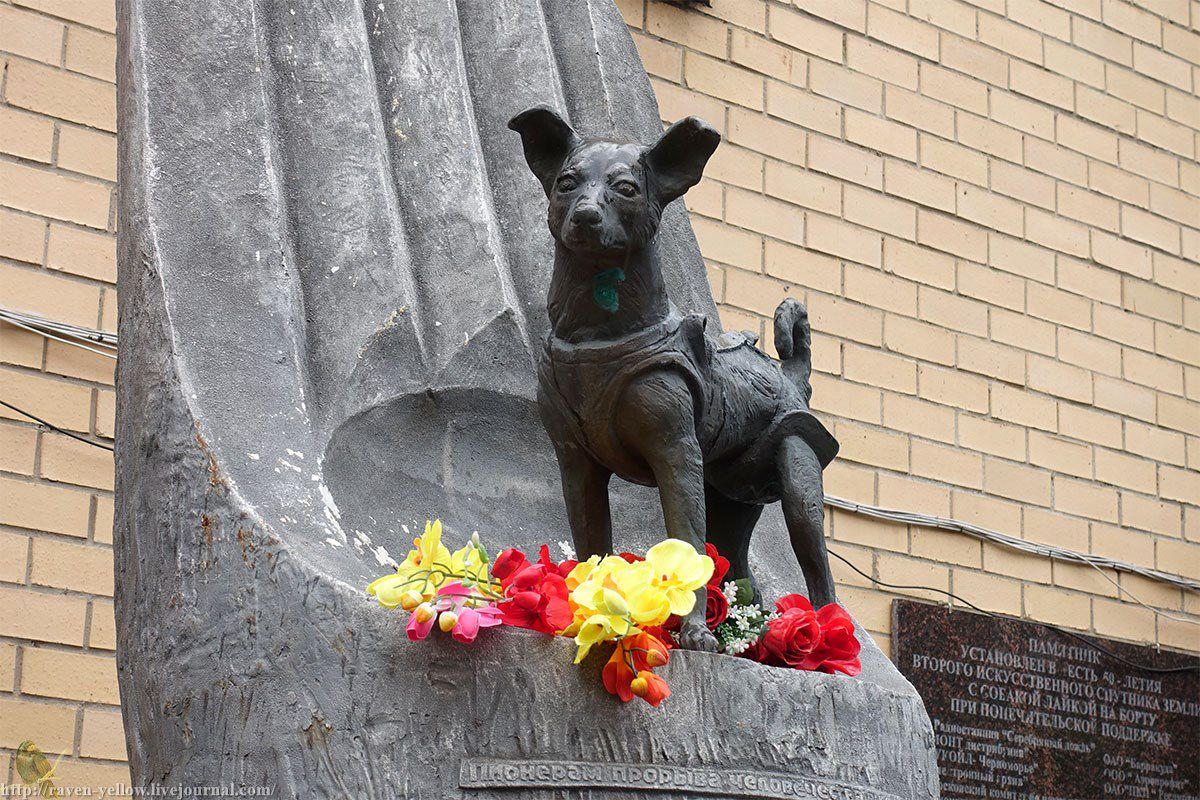 Памятник собаке-космонавту Лайке в Москве. Туристические маршруты России