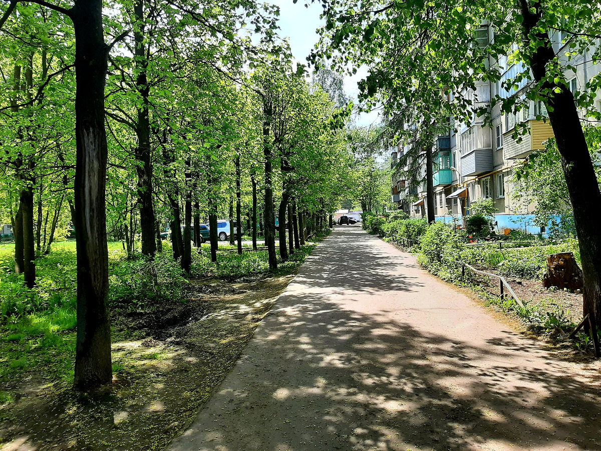 улица Любимова 