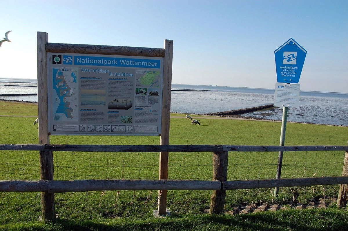 Побережье ваттового моря