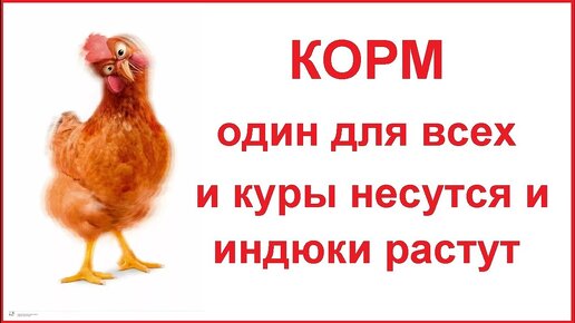 Универсальный корм для Всей домашней птицы - результат потрясающий - смотрите сами