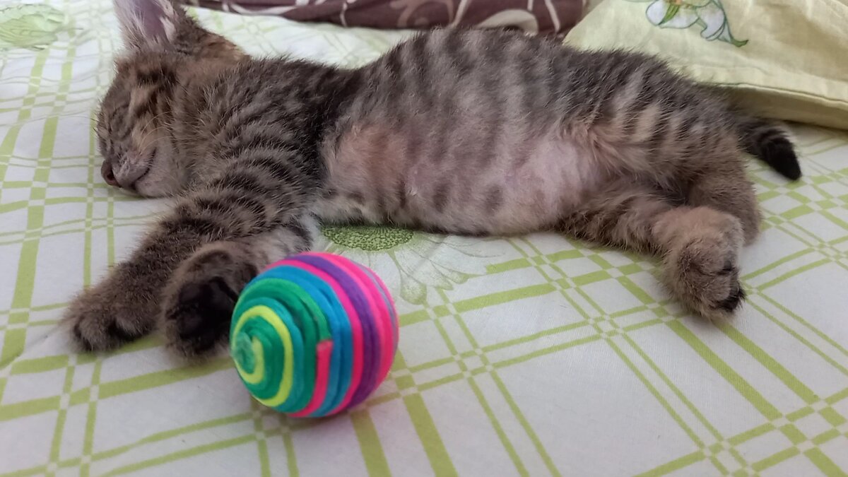 Здоровый сон