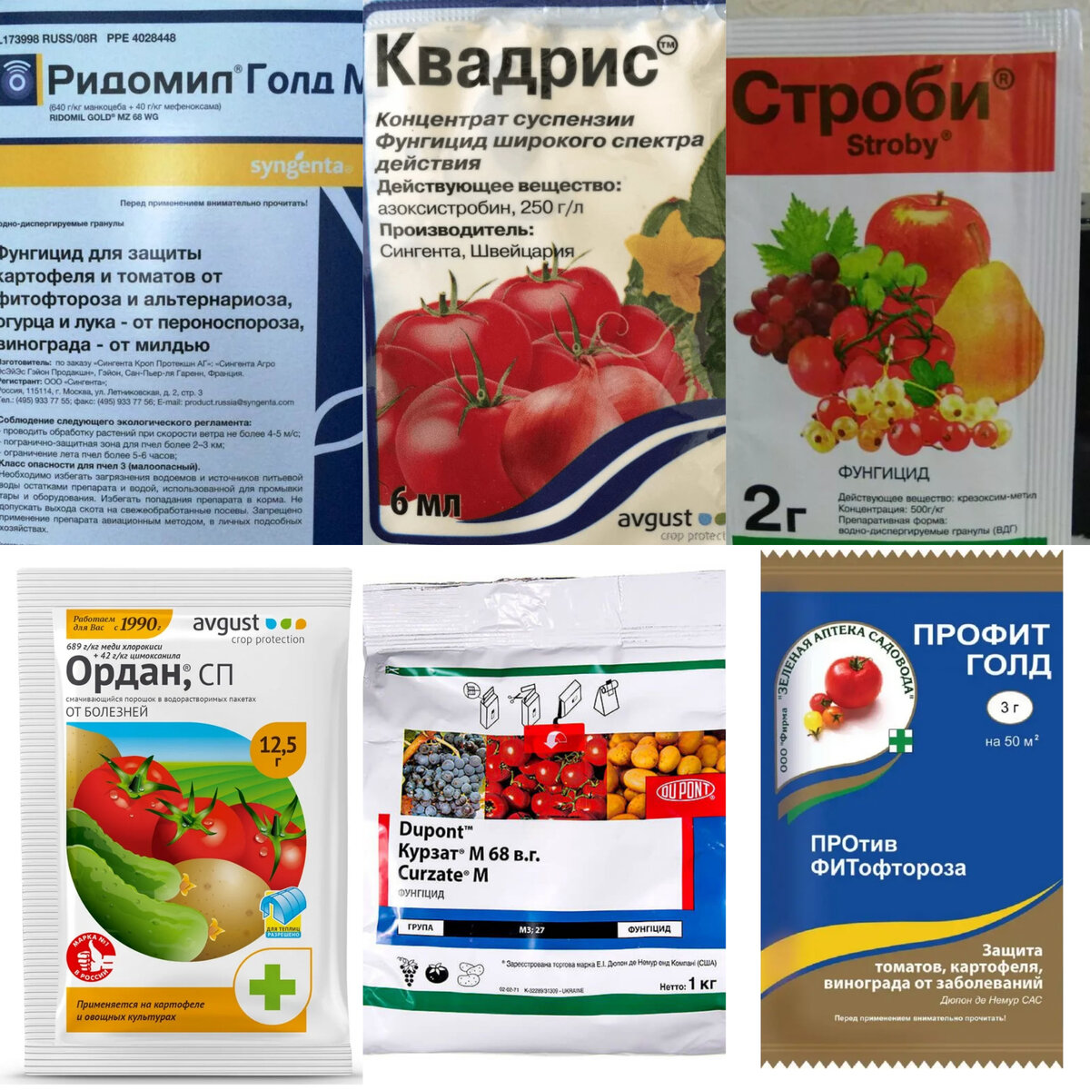 А у нас опять дождь. Как спасти томаты от болезней в такую погоду. |  Огородник из Рязани | Дзен