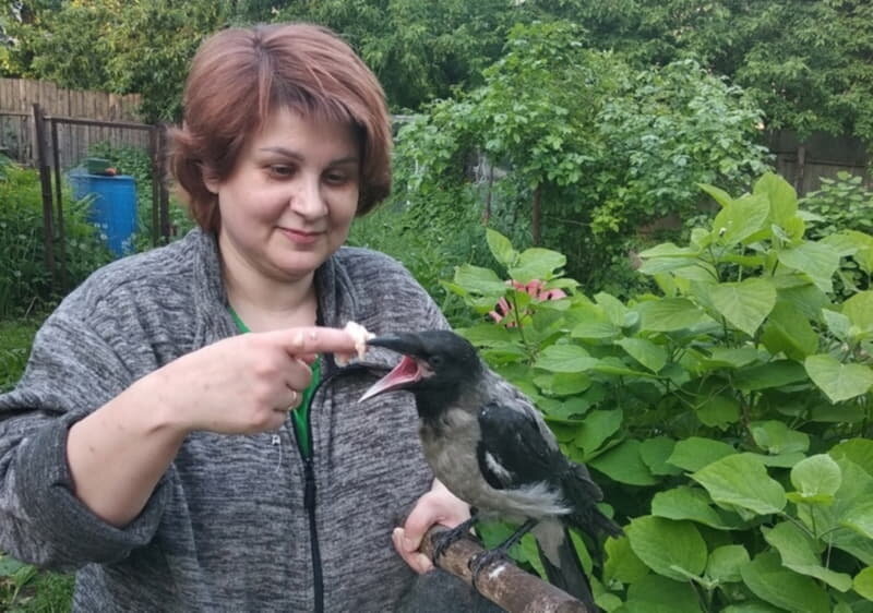 Юлия с вороненком. Фото из архива респондента