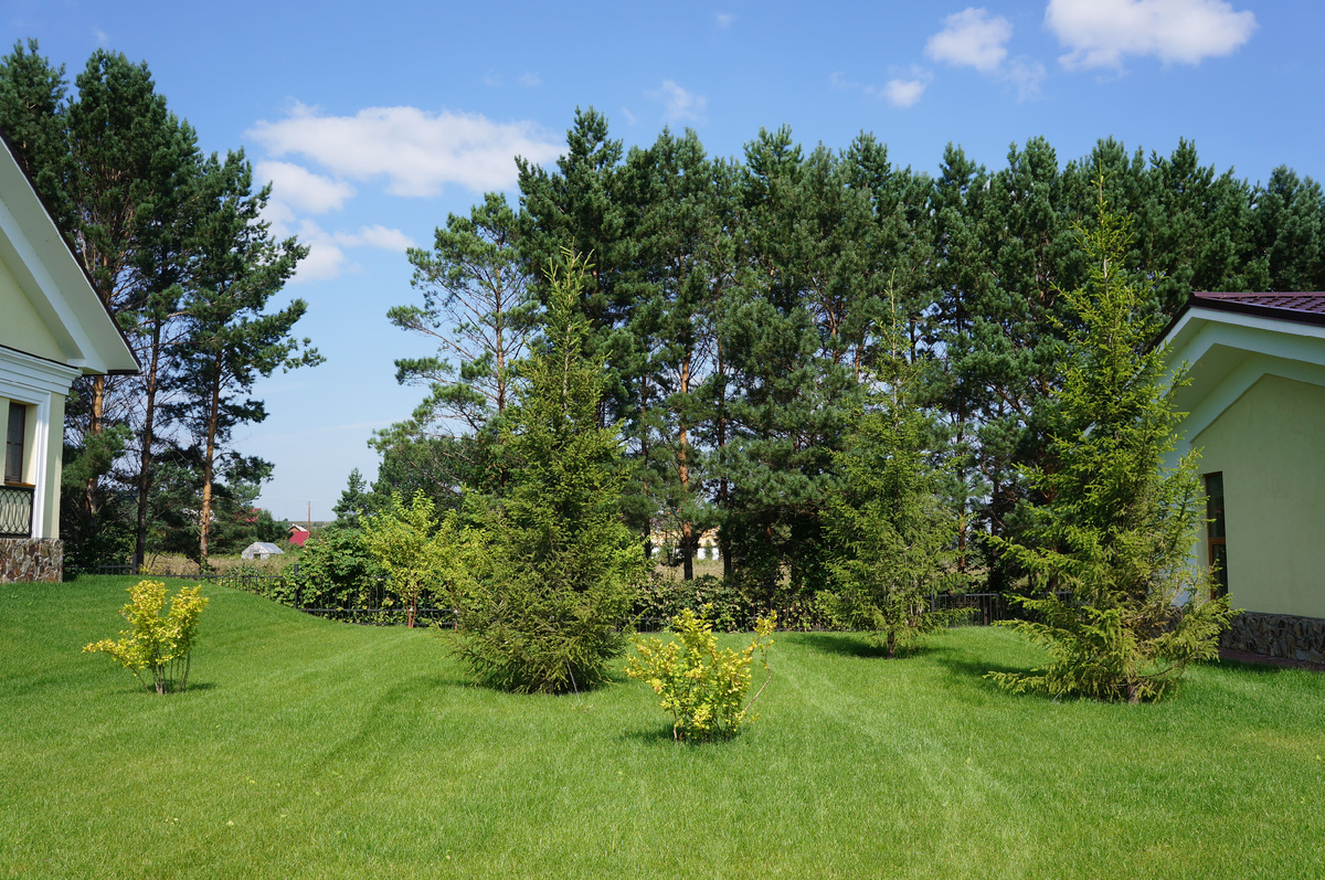 Наш объект на постоянном обслуживании в Кемерово.