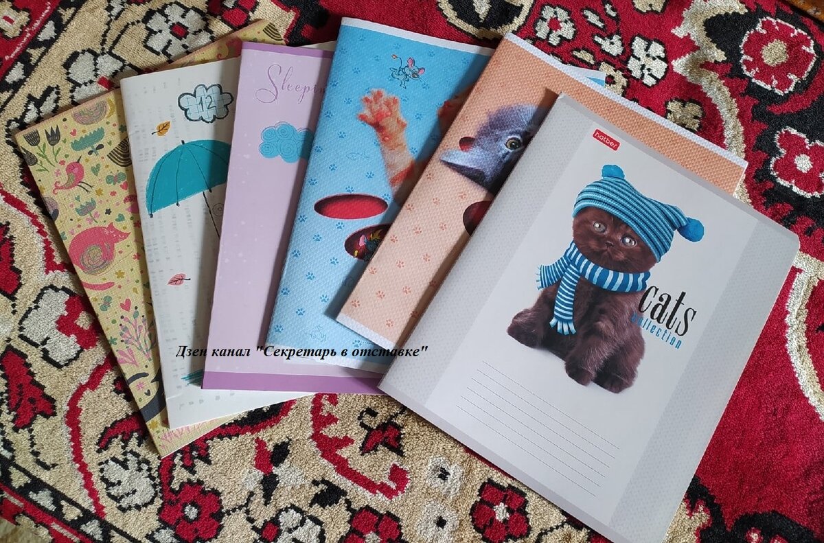 Вот такие милые тетрадочки. Личное фото автора