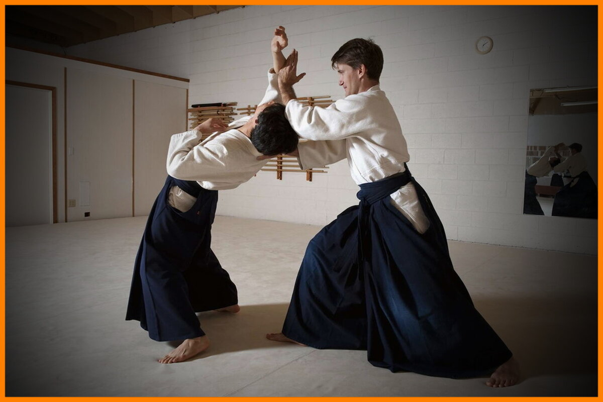 Философия будо — это философия жизни, 