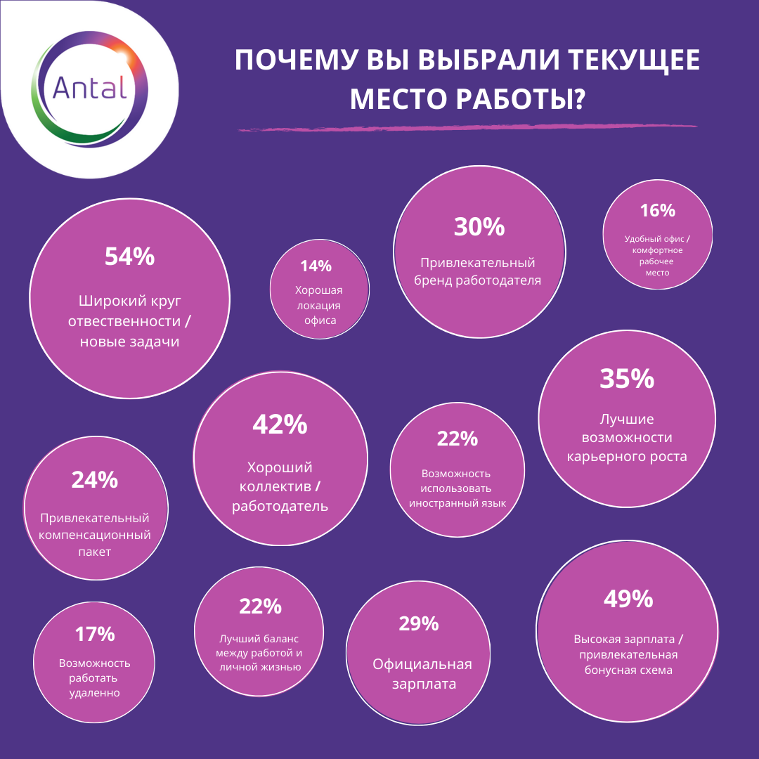 Как выбрать место работы: ТОП-5 причин | Antal Russia | Дзен