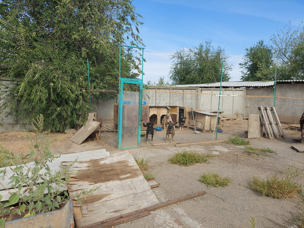 Освещение только естественное.