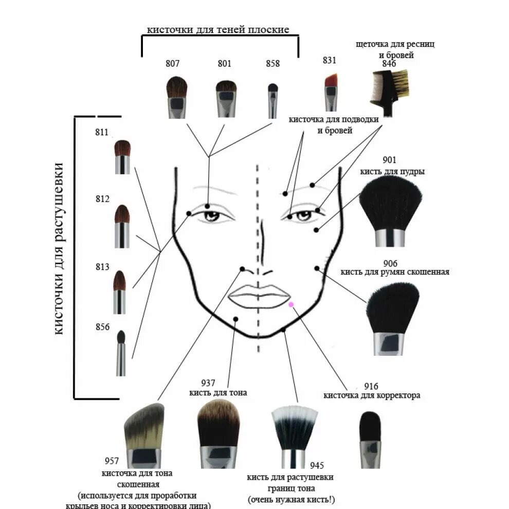 Рекомендация по использованию кистей для макияжа.