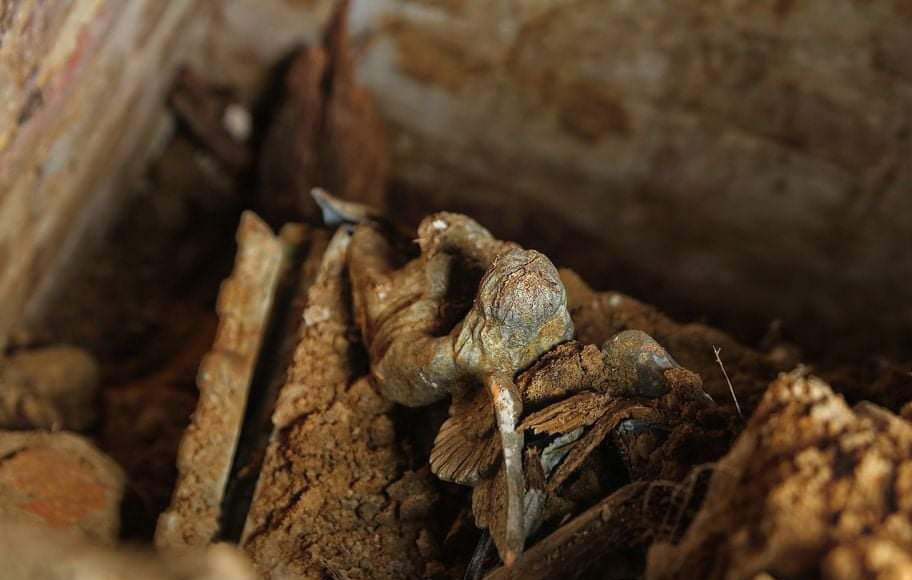 Источник фото: https://gp.by/