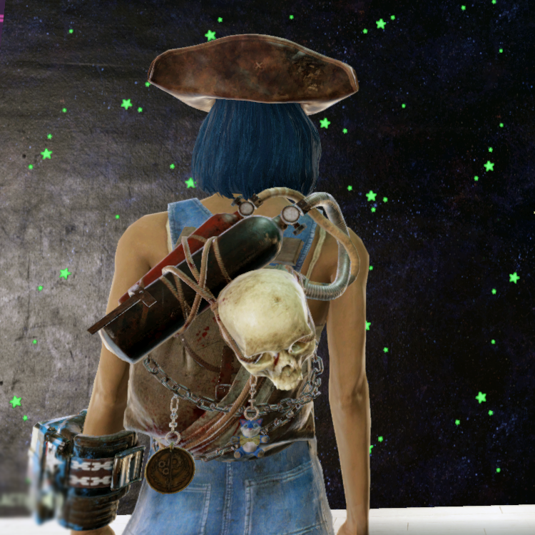 Мешок Рейдер-грабитель в игре Fallout 76