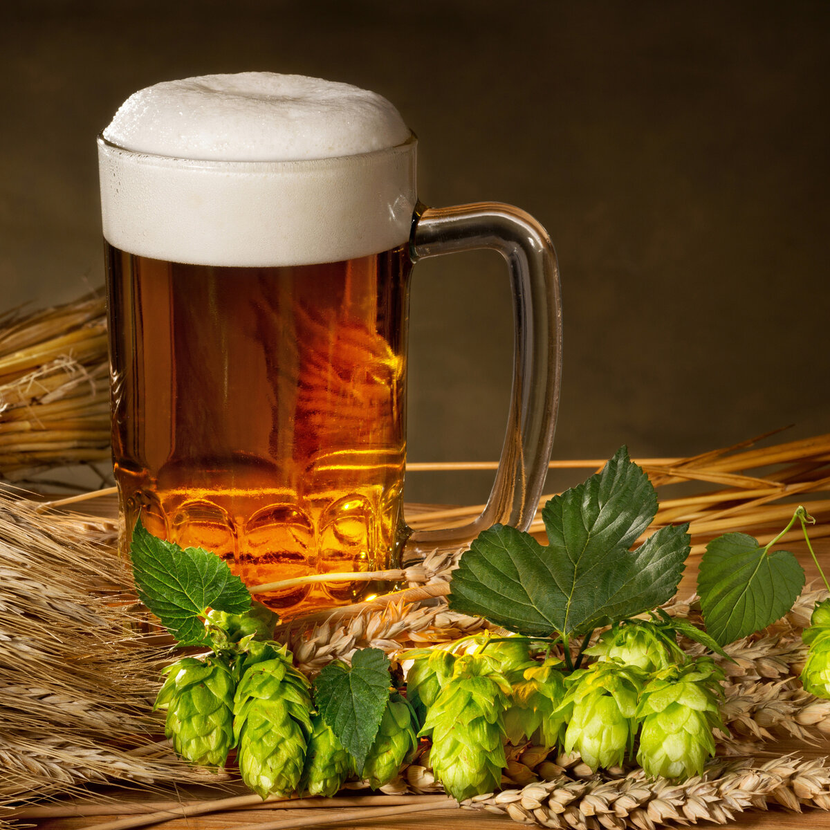 фото из Интернета