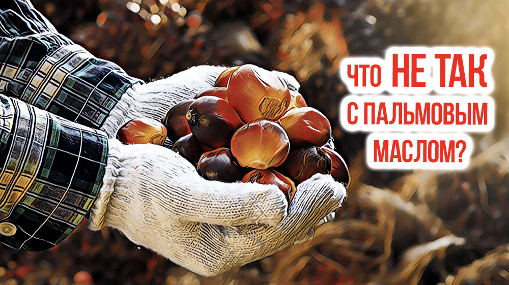 Что не так с пальмовым маслом?0