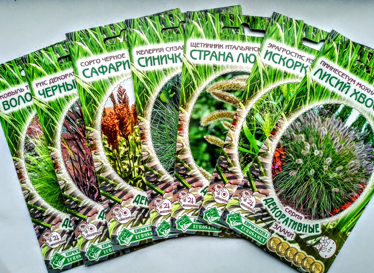 Семена декоративных злаковых, Евросемена, 13 декабря 2021