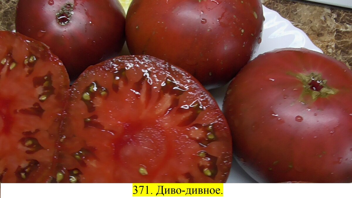 Лучшие томаты с подробным описанием и фото. 60 сортов коллекционных томатов- самых популярных, самых красивых и вкусных.