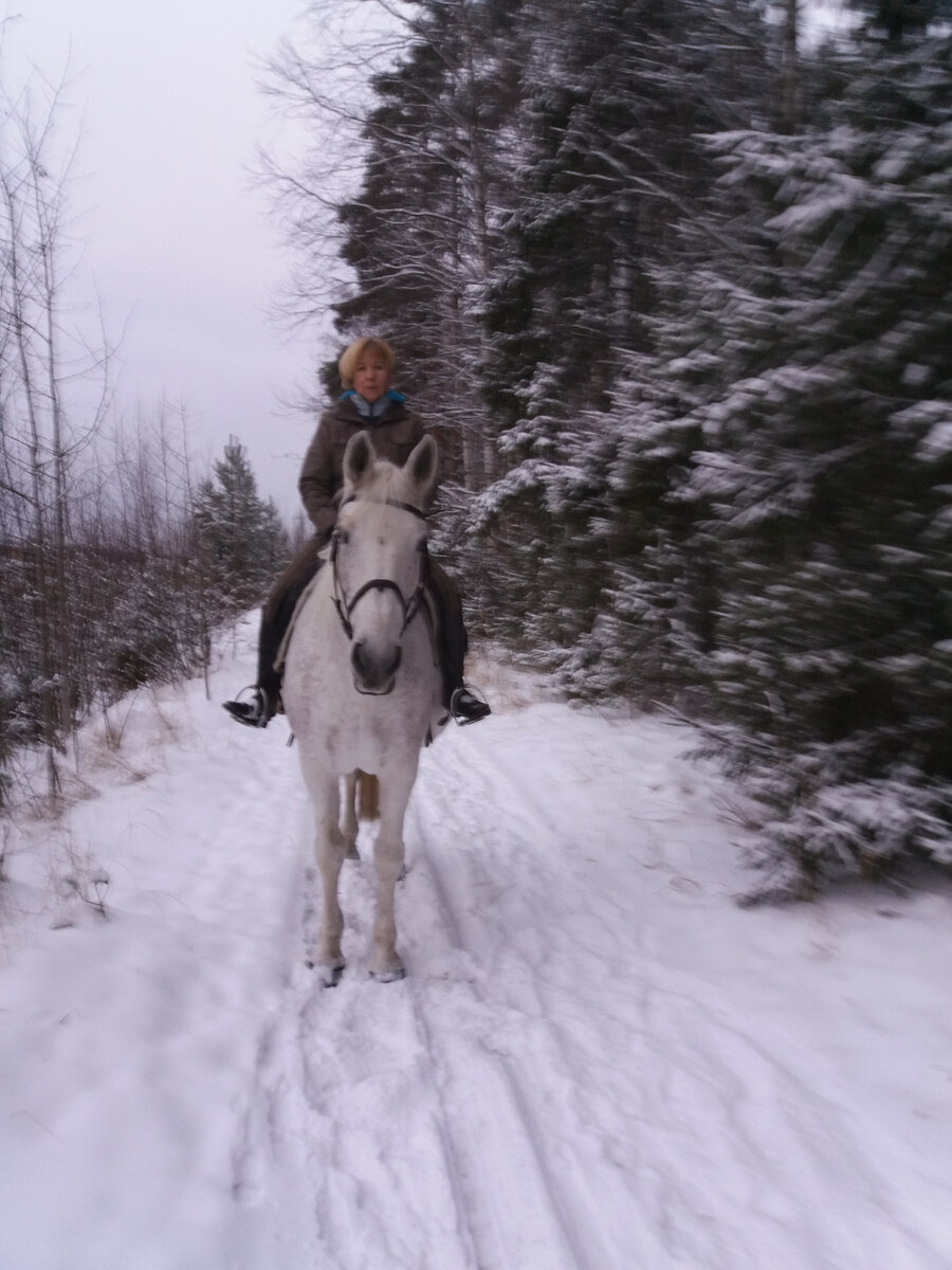 Это я зимой верхом