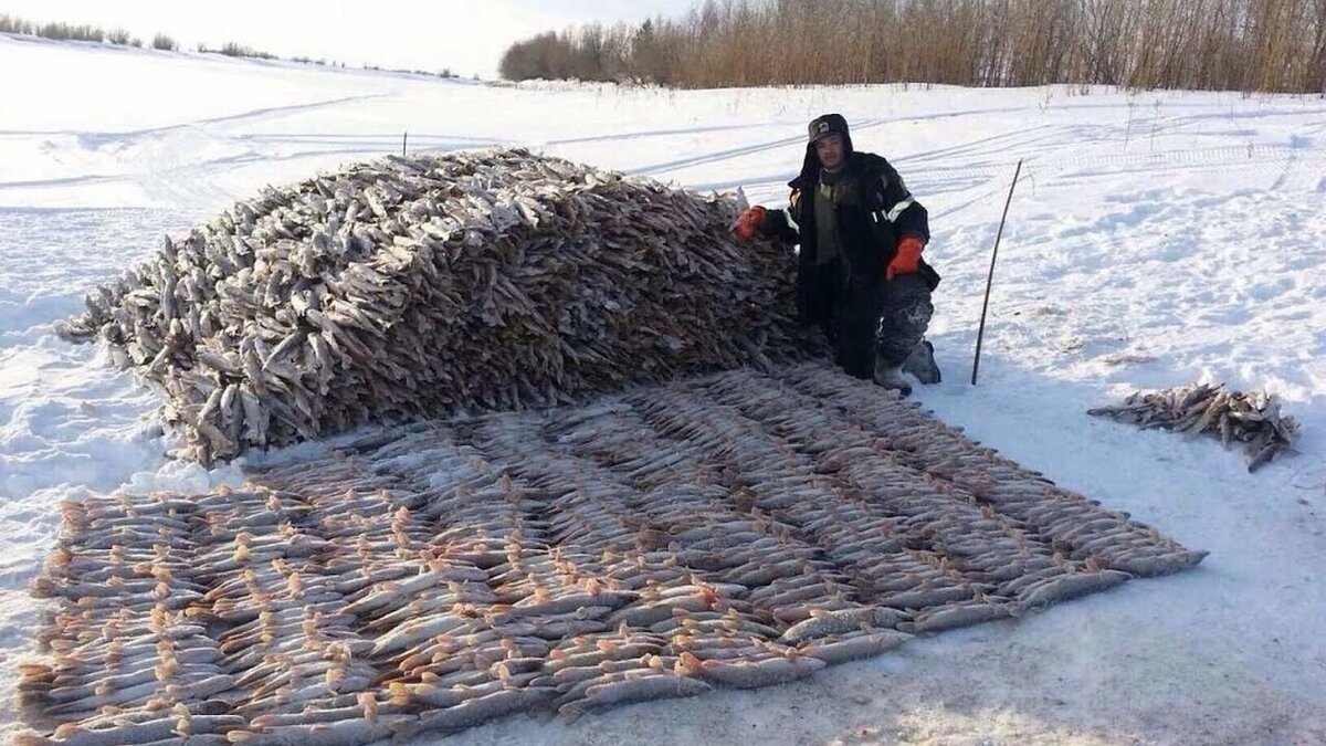 Мужик с рыбой зимой