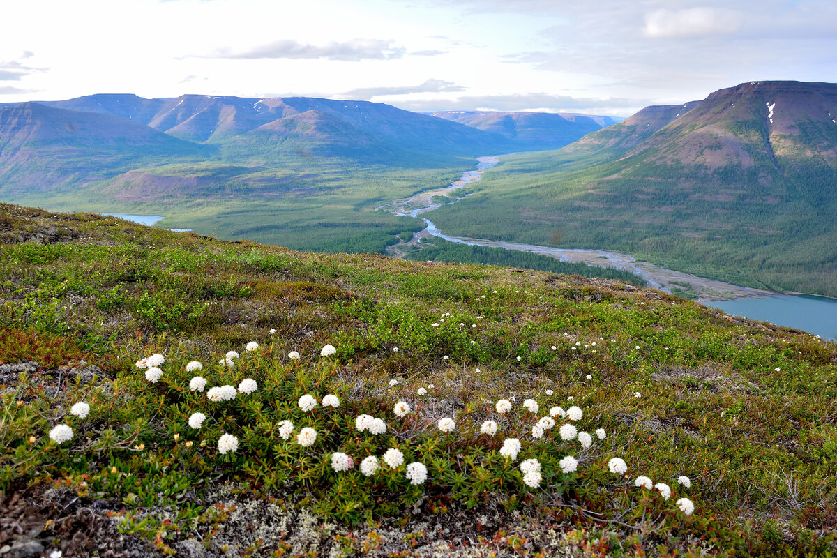 Плато Путорана