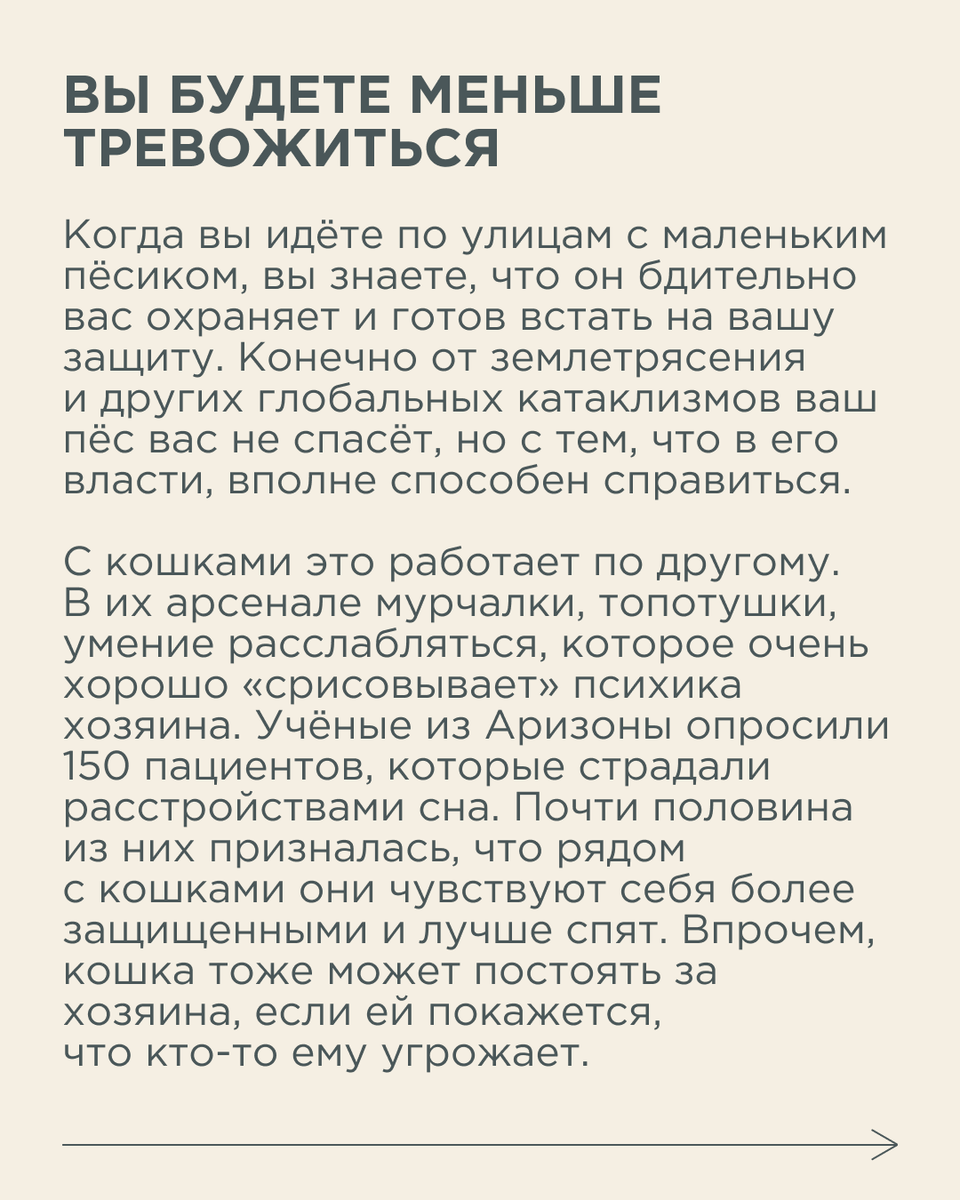 Иногда нам бывает очень трудно справиться с негативными мыслями и стрессом.  Как животные отвлекают нас от плохих мыслей | Новый очаг | Дзен