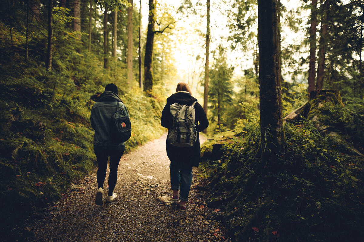Let s go together. Прогулки по лесу. Гулять в лесу. Человек в лесу. Человек идет по лесу