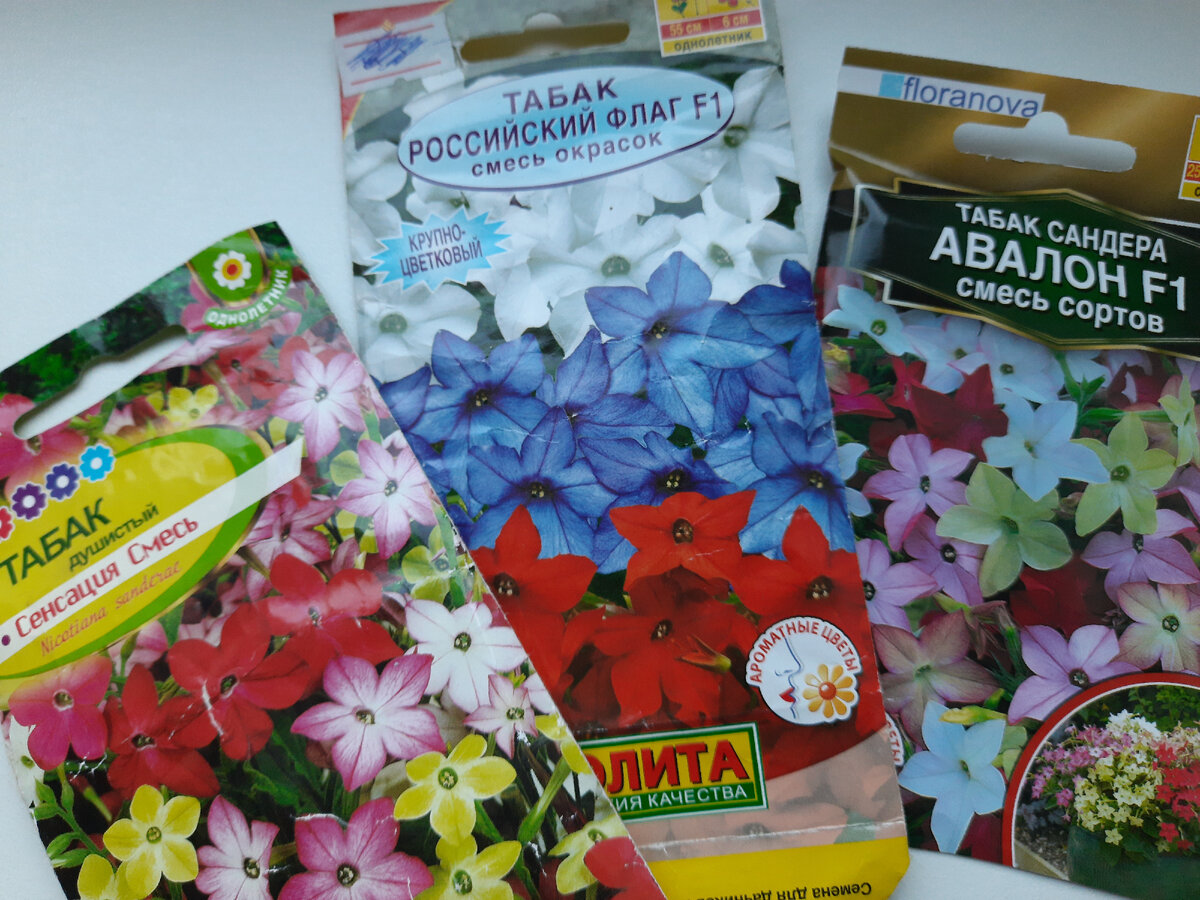 цветы, упаковки