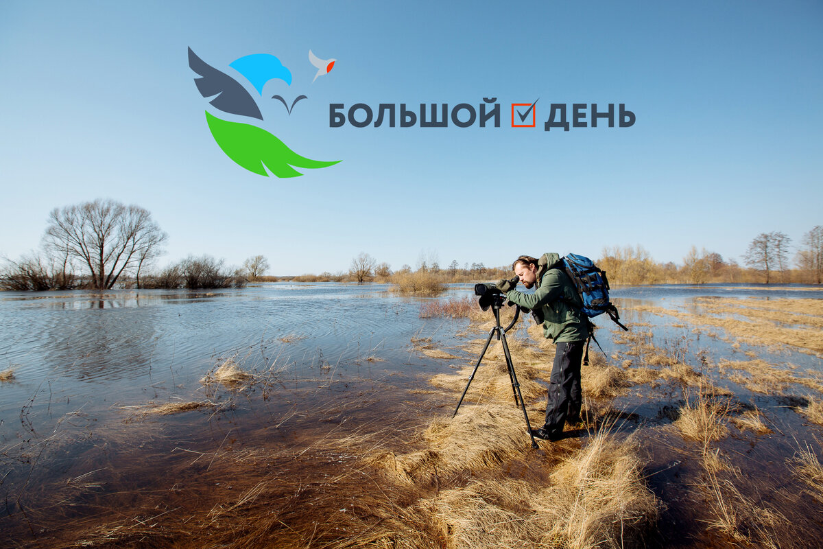 Большой день-2022