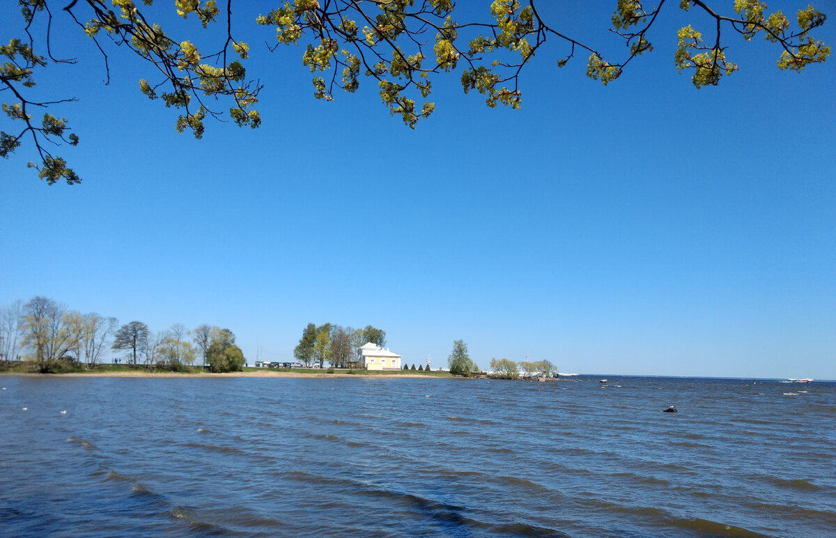 Причал Петергофа в 2022 году