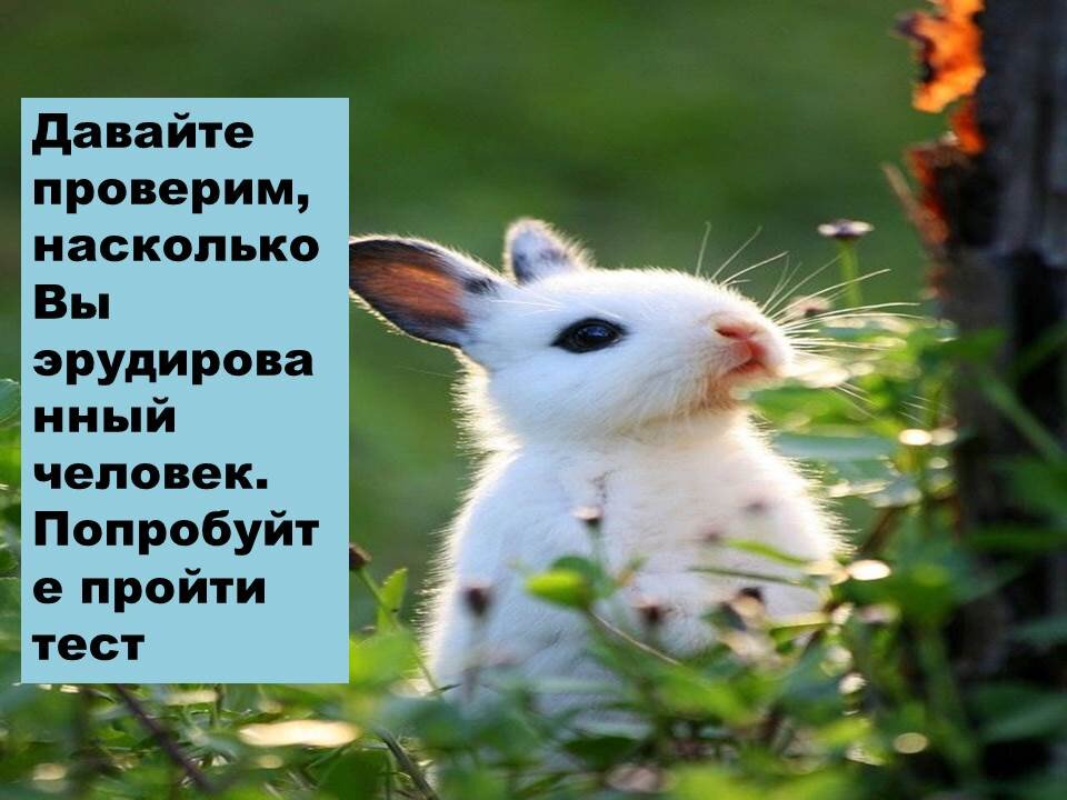 Фотография взята из открытого доступа, для оформления статьи