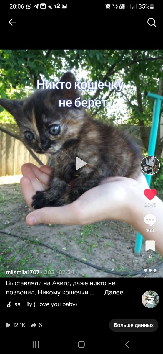 Фото из моего Тик Ток