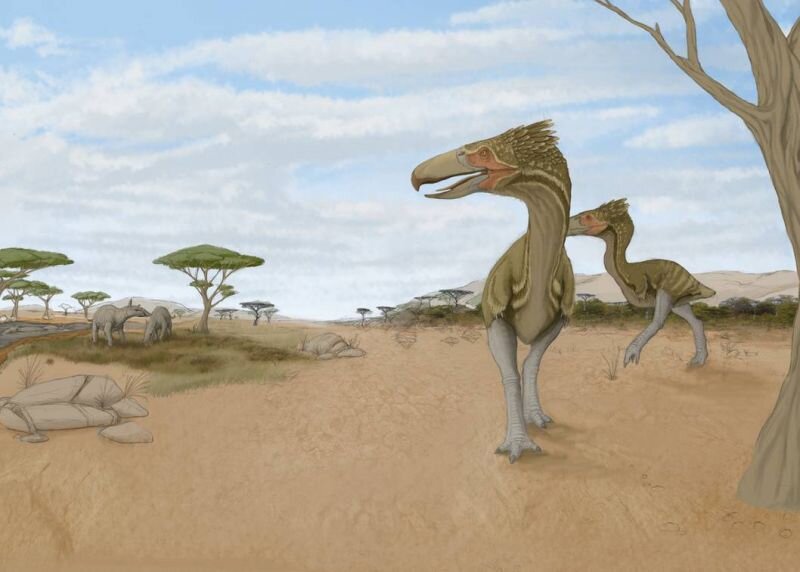 Паш, а Паш, а кто это там пасётся у нас, сгоняй-ка разберись по-быстрому!