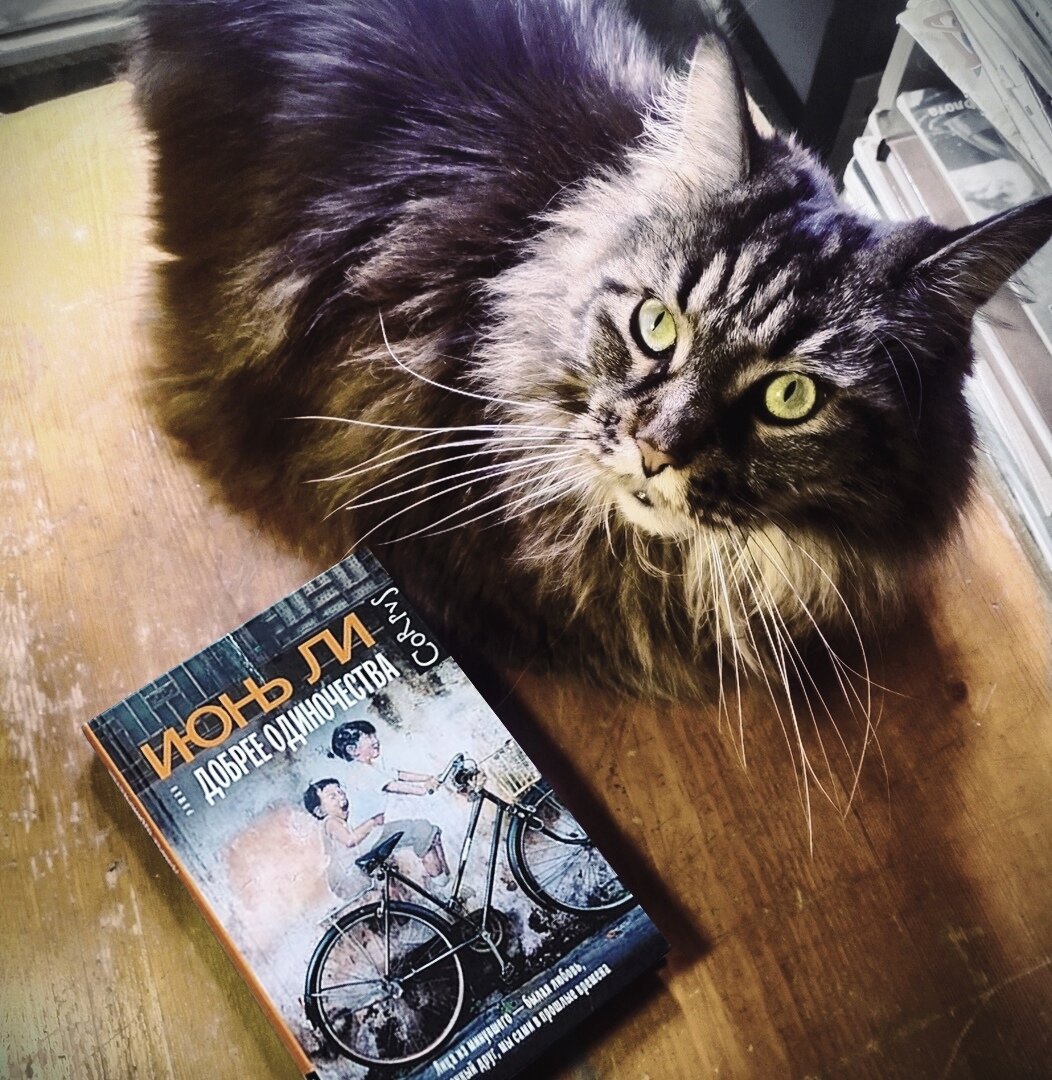 И Юнь Ли «Добрее одиночества»