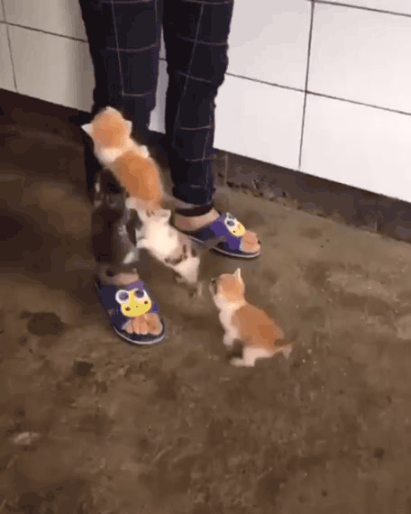 Нажми на картинку, чтобы посмотреть видео. Источник: Ютуб.