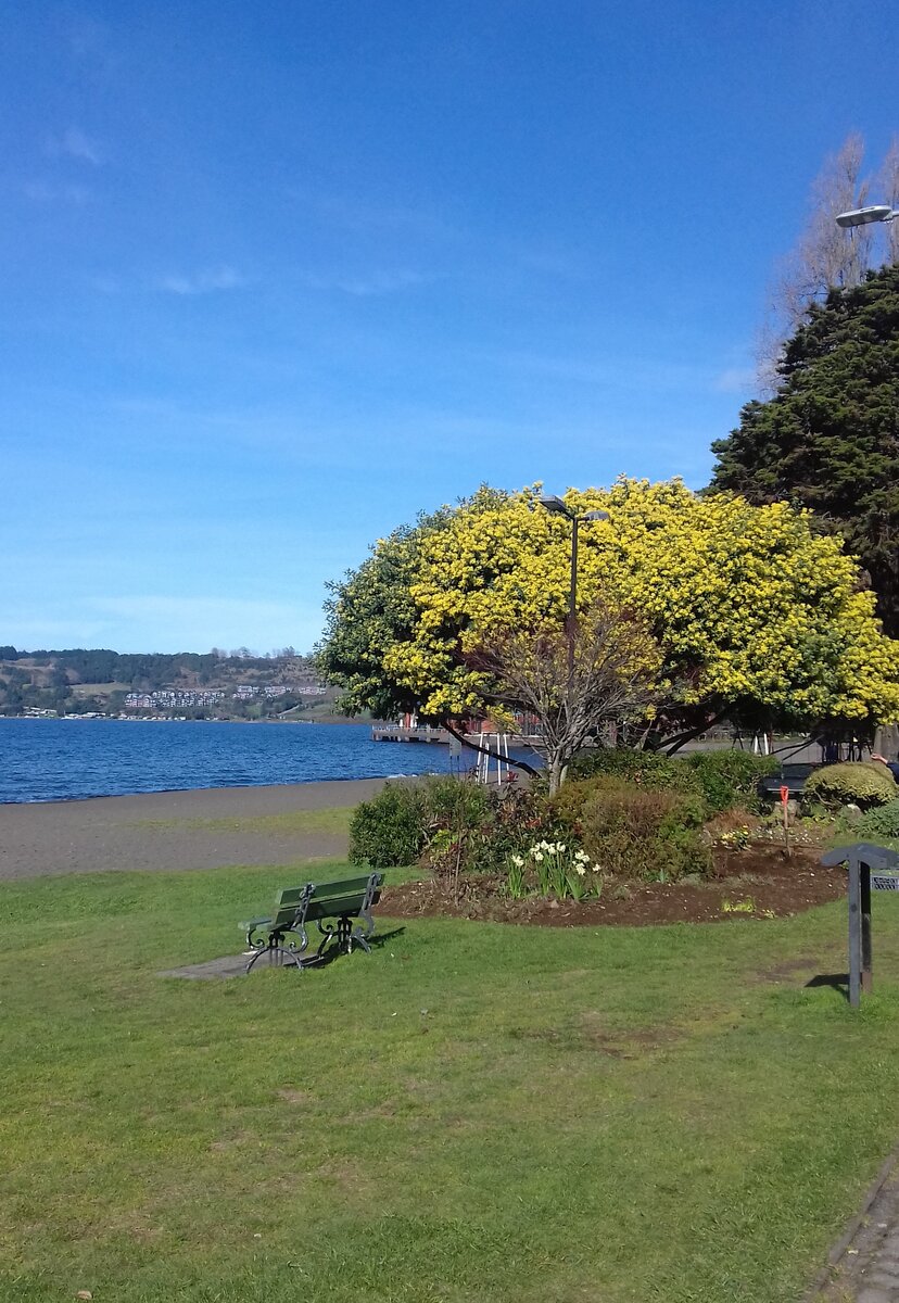 Город Фрутияр