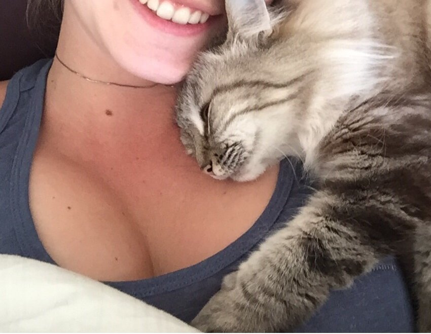 И у котов бывает грудь