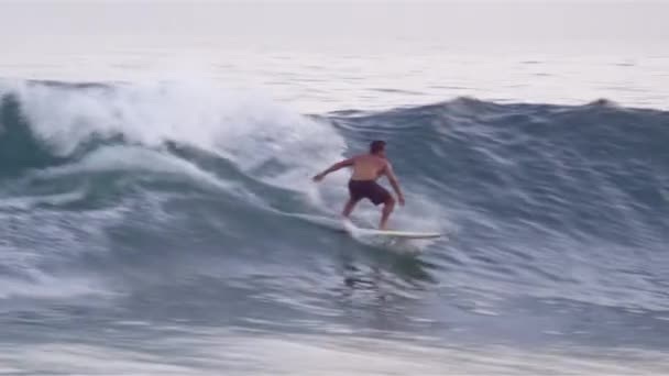 Фото взято с Яндекс Картинок