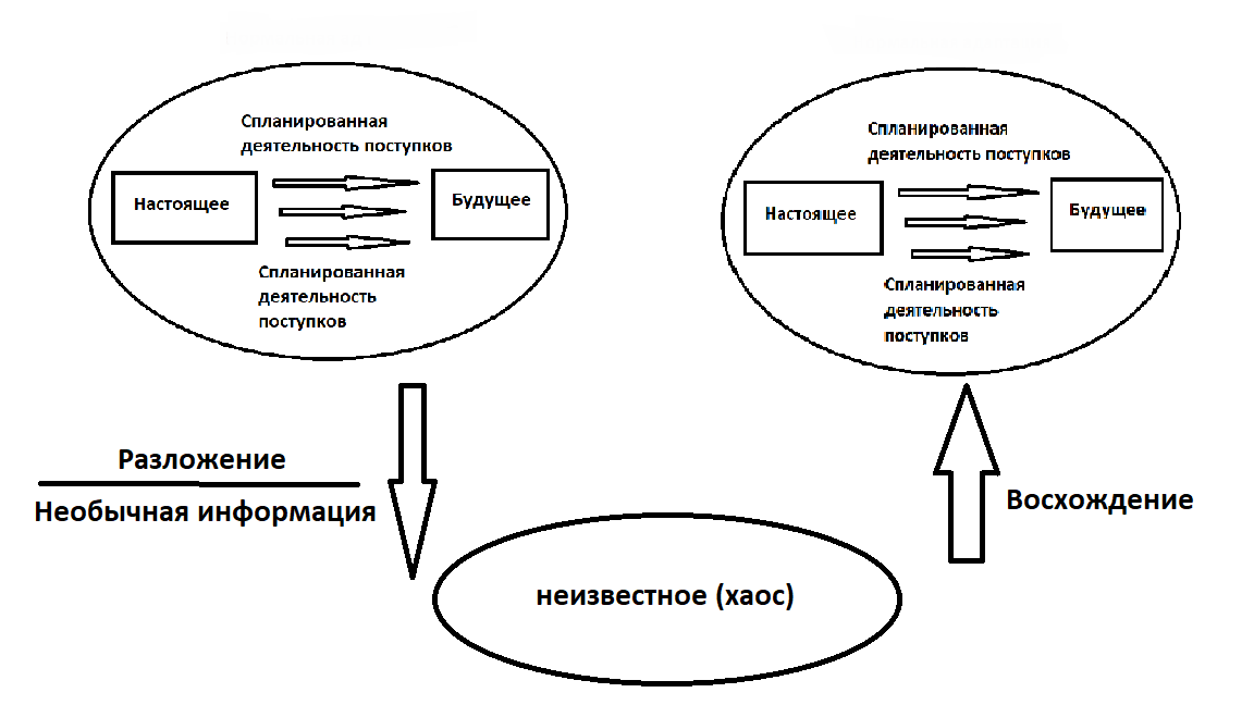 Революционная адаптация