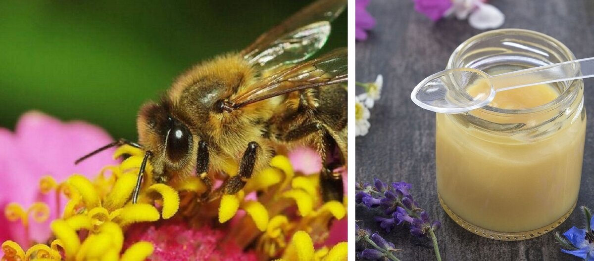 Взято из открытых источников для иллюстрации