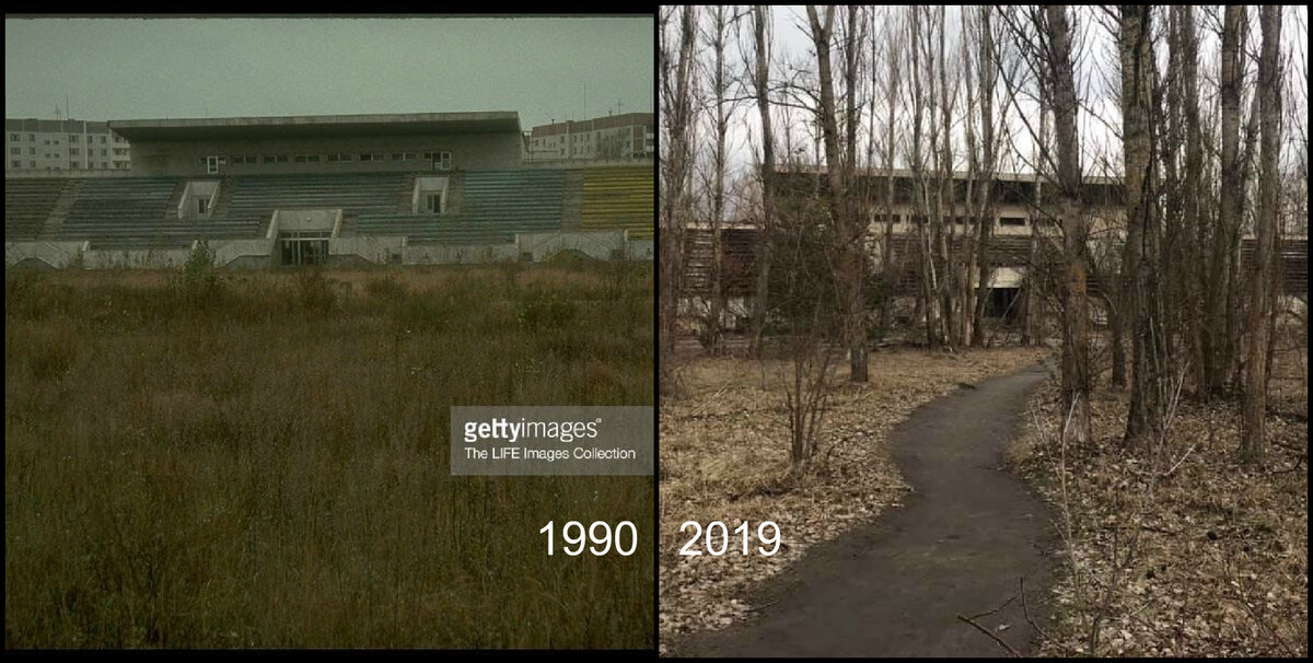 Припять спустя много лет без людей - эти перемены вы увидите сразу