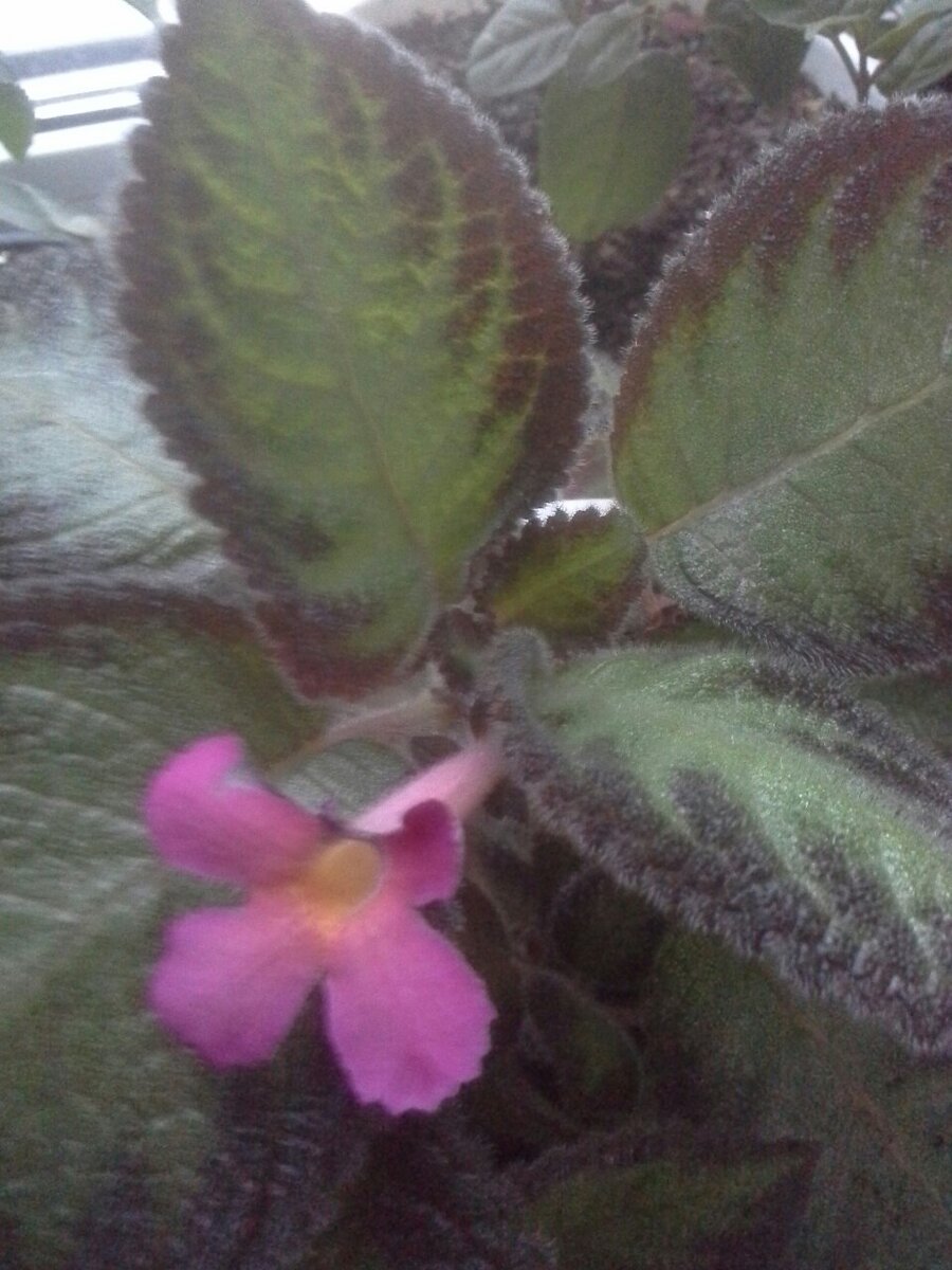 Фото автора.