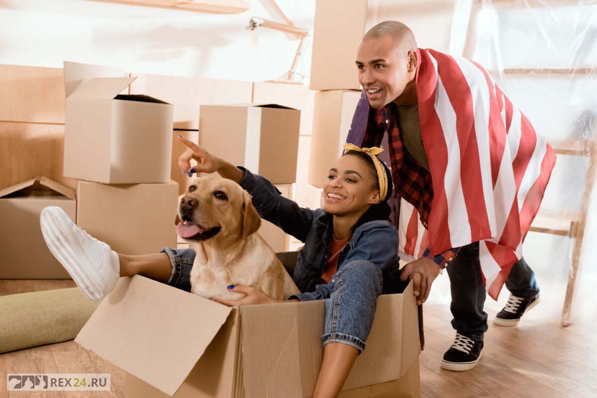 Фото: themortgagedog.com