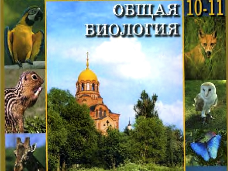 А центром животного мира видимо является храм