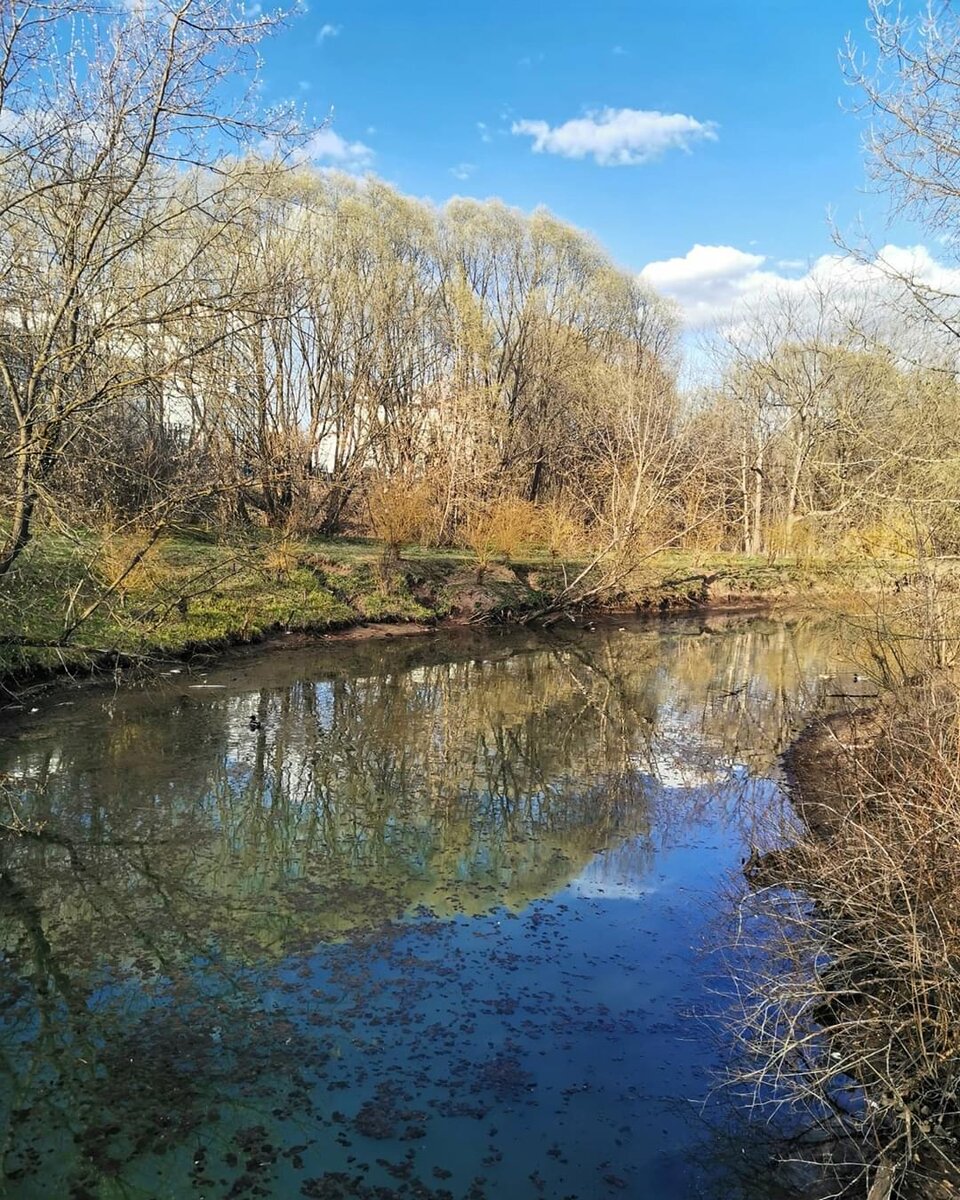 Фото из моего Инстаграма