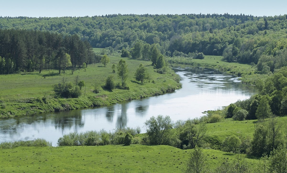 Река Угра Сосновый Бор