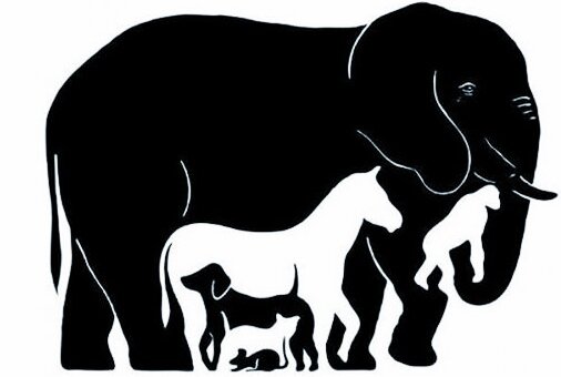 Напишите ответ в комментариях