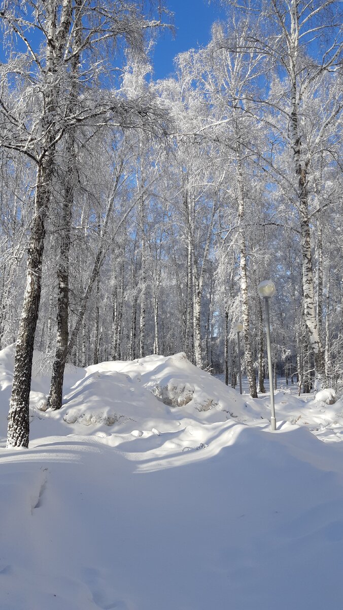 Фотография автора.