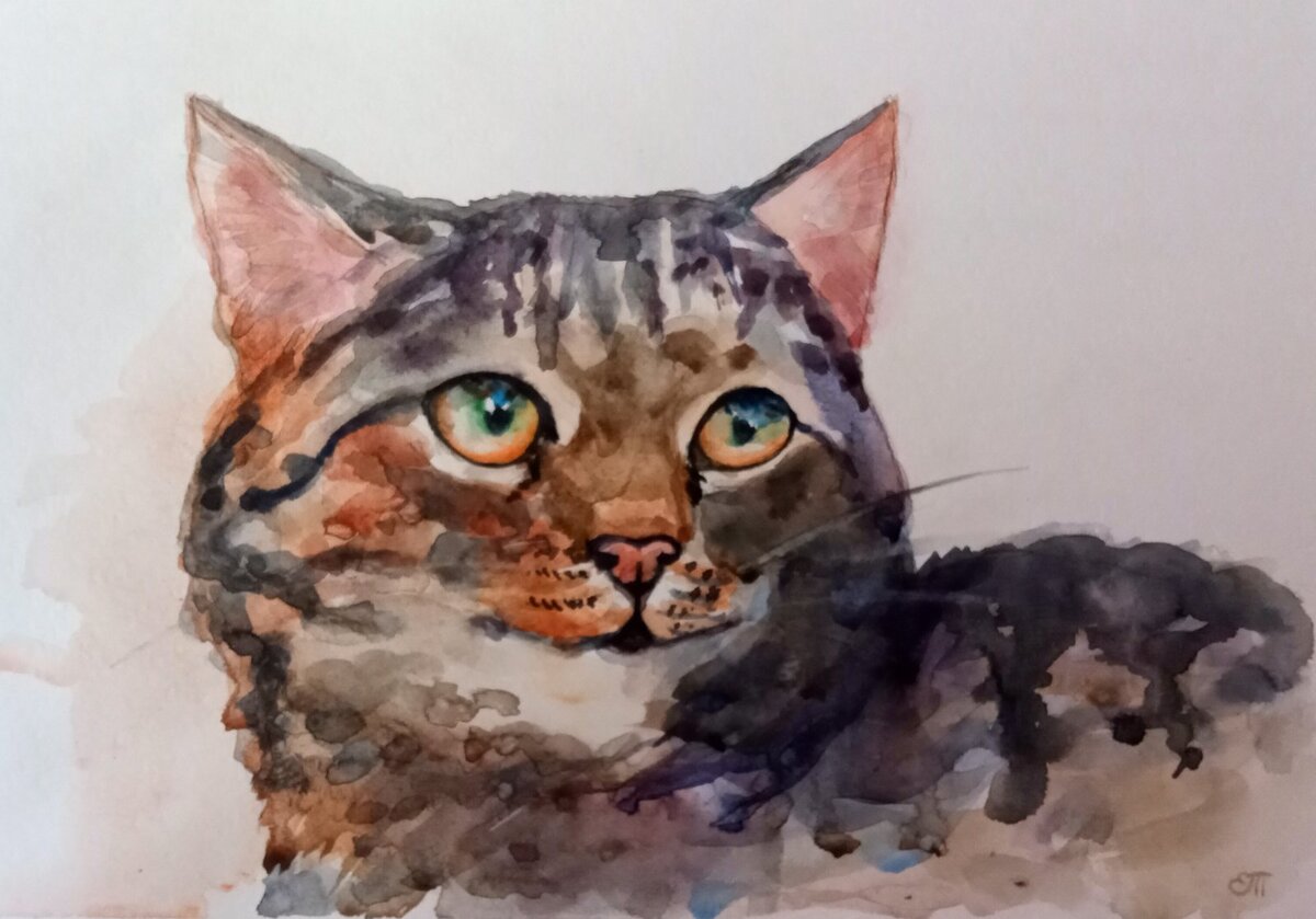 Рисунок автора