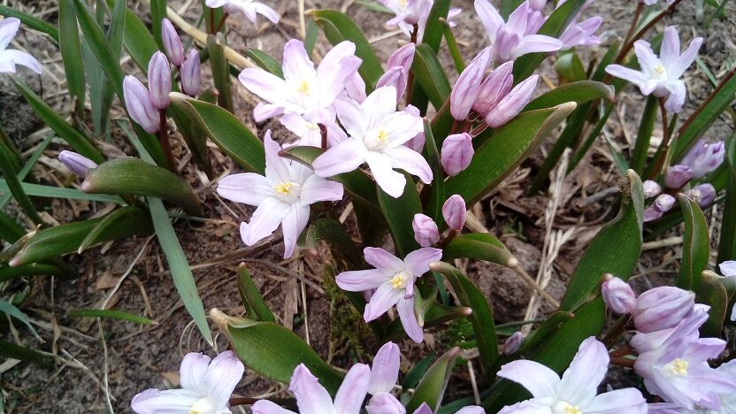 Вы уже могли их видеть в другой статье)