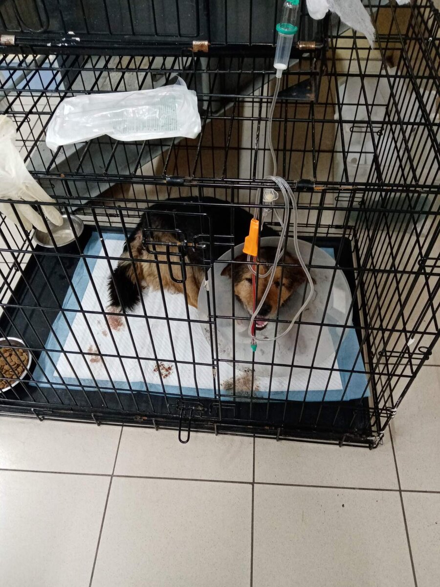 Мальчик в клинике.