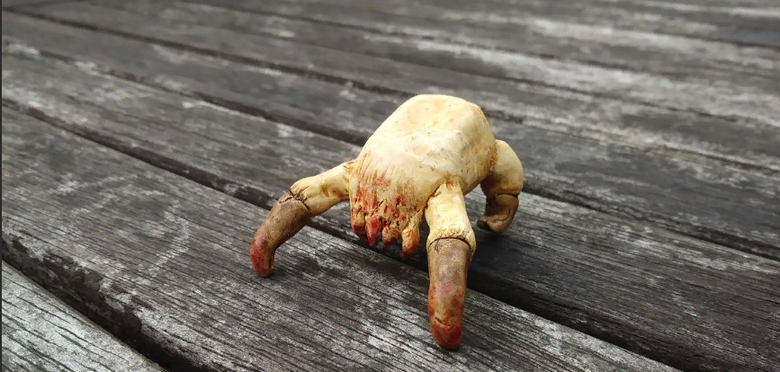 Carcinus aestuarii. Заколки крабики alexandre paris. Carcinus aestuarii. Crab alex g. На рыбалке за крабом.