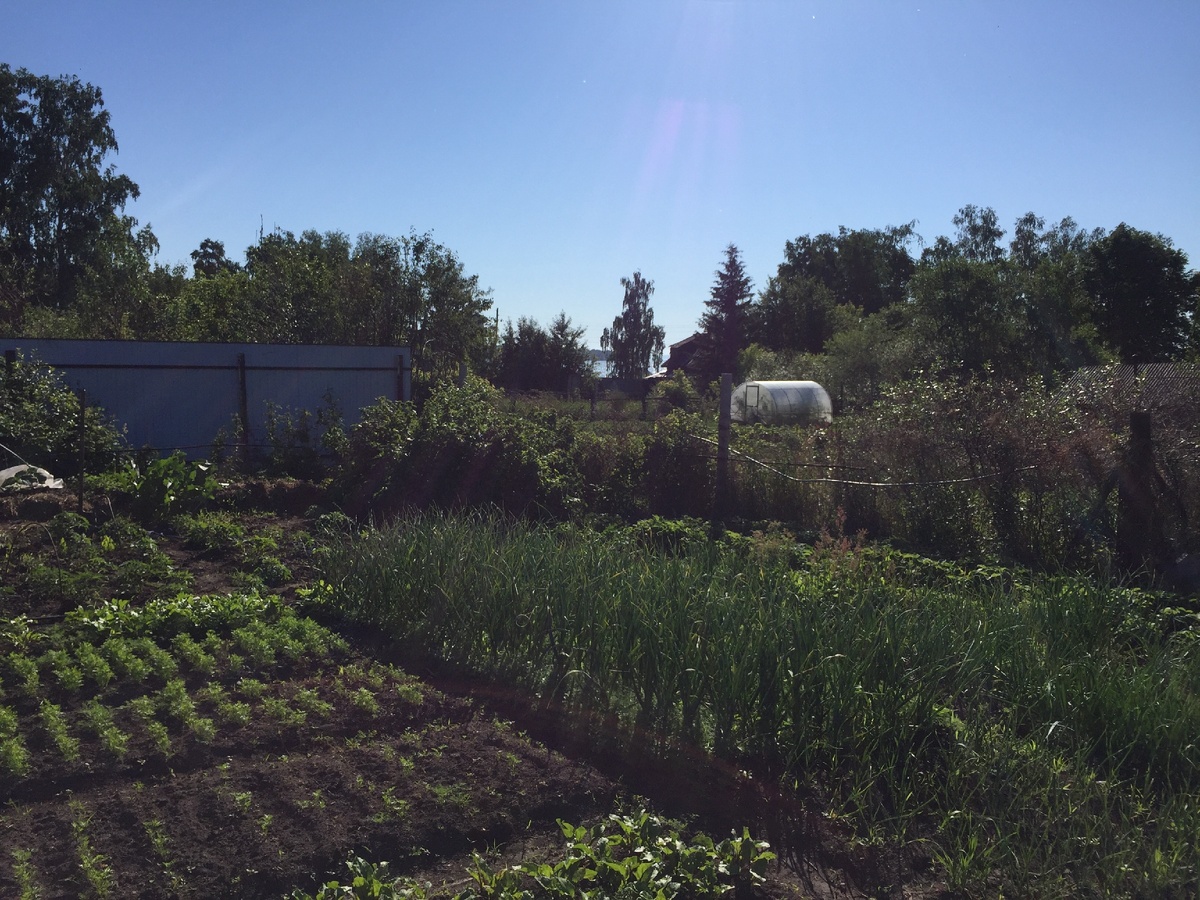 Обязательно грядочки...